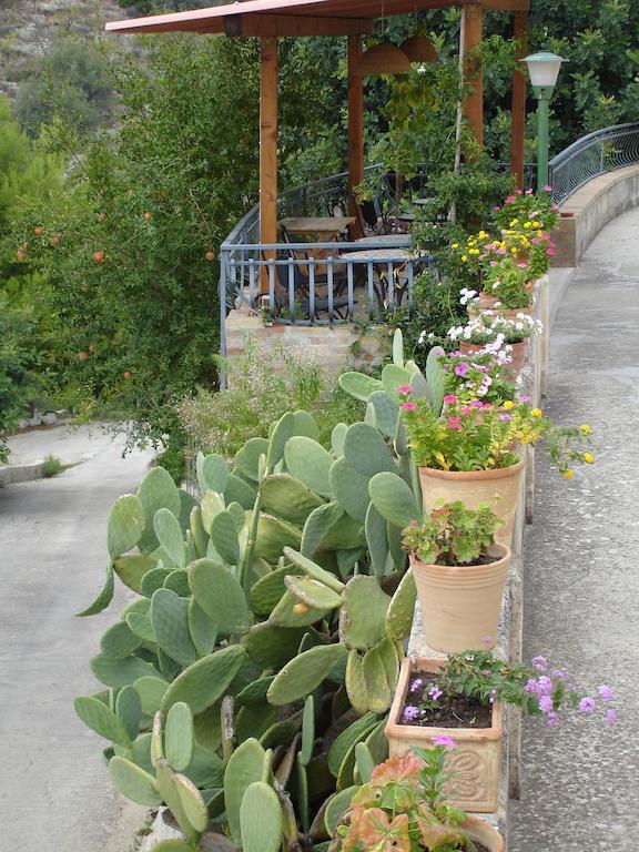 La Suma Sumalia Bed & Breakfast Noto Dış mekan fotoğraf